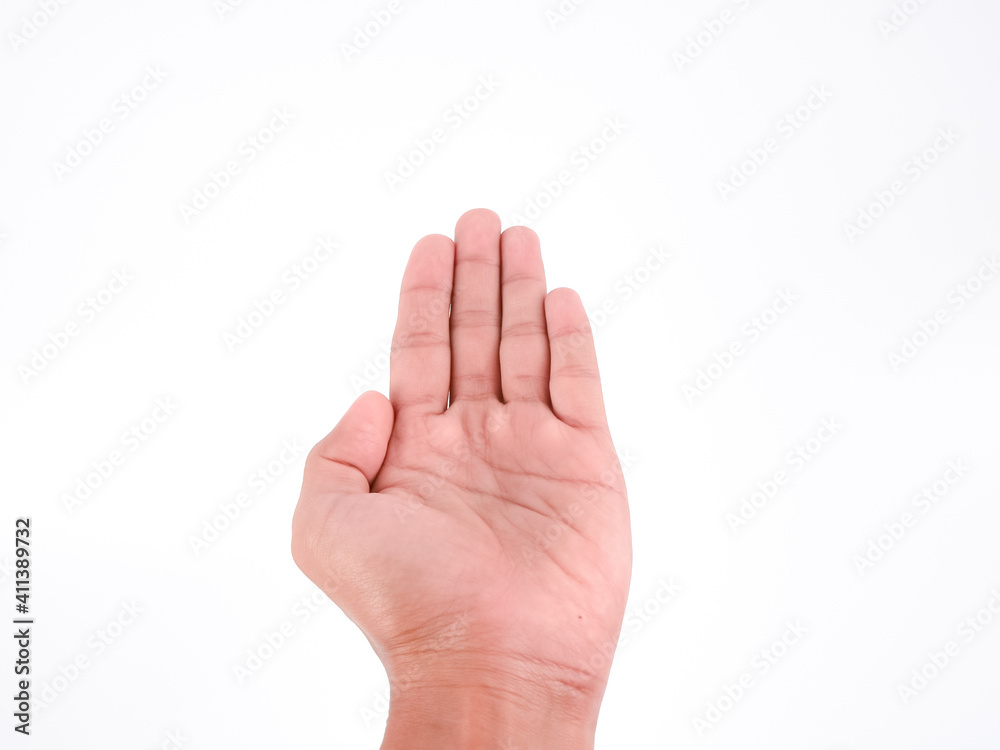 Hand isolated on a white background. Hand isolated on a white background.