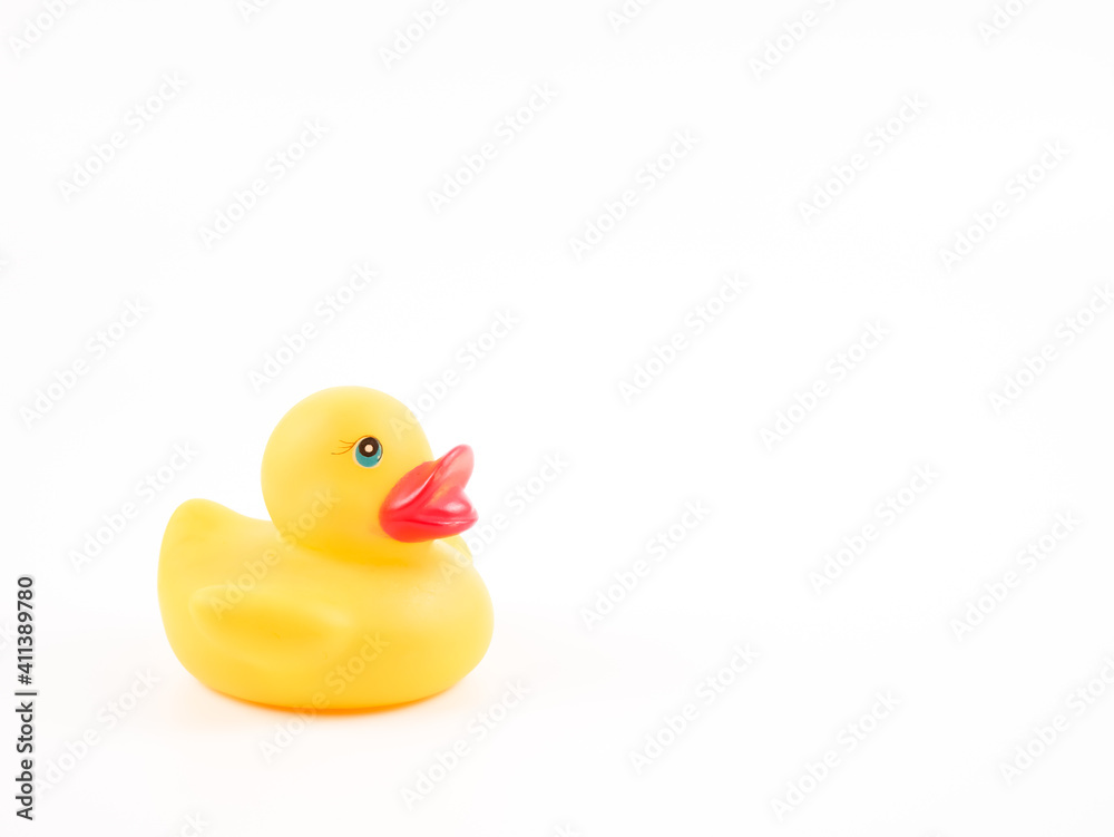 Duck toy isolated on a white background. Duck toy isolated on a white background.
