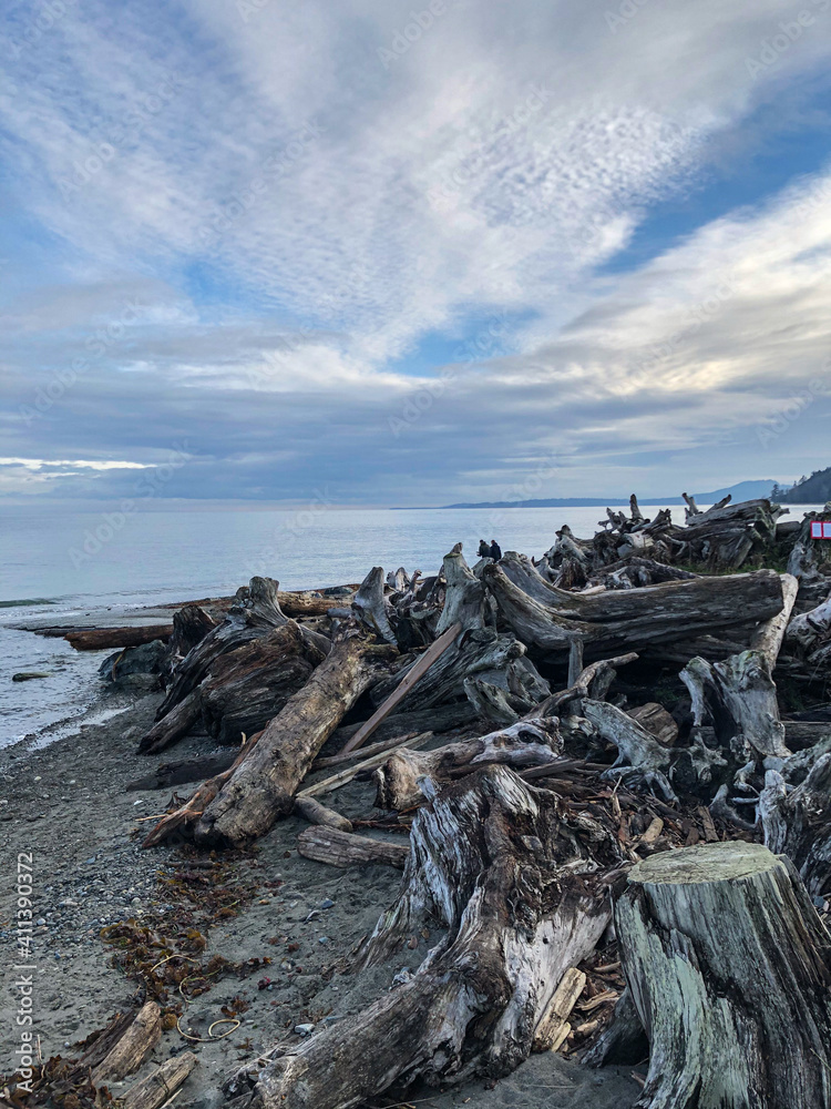Driftwood beach on Vancouver Island, Canada