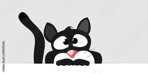 Katze