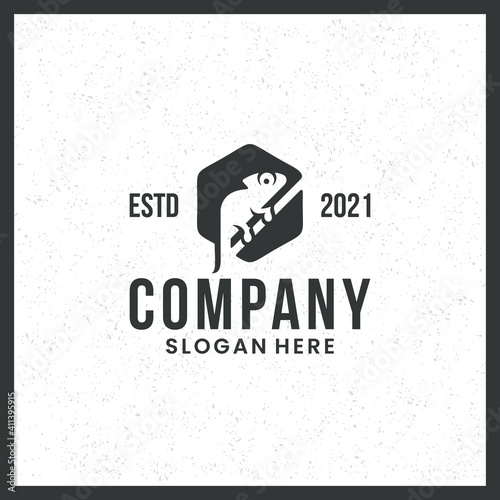 chameleon logo, camouflage, creeping, trademark, with hexagon concept