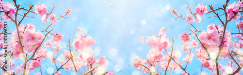 Foto Beautiful cherry blossom flowers over blurred background