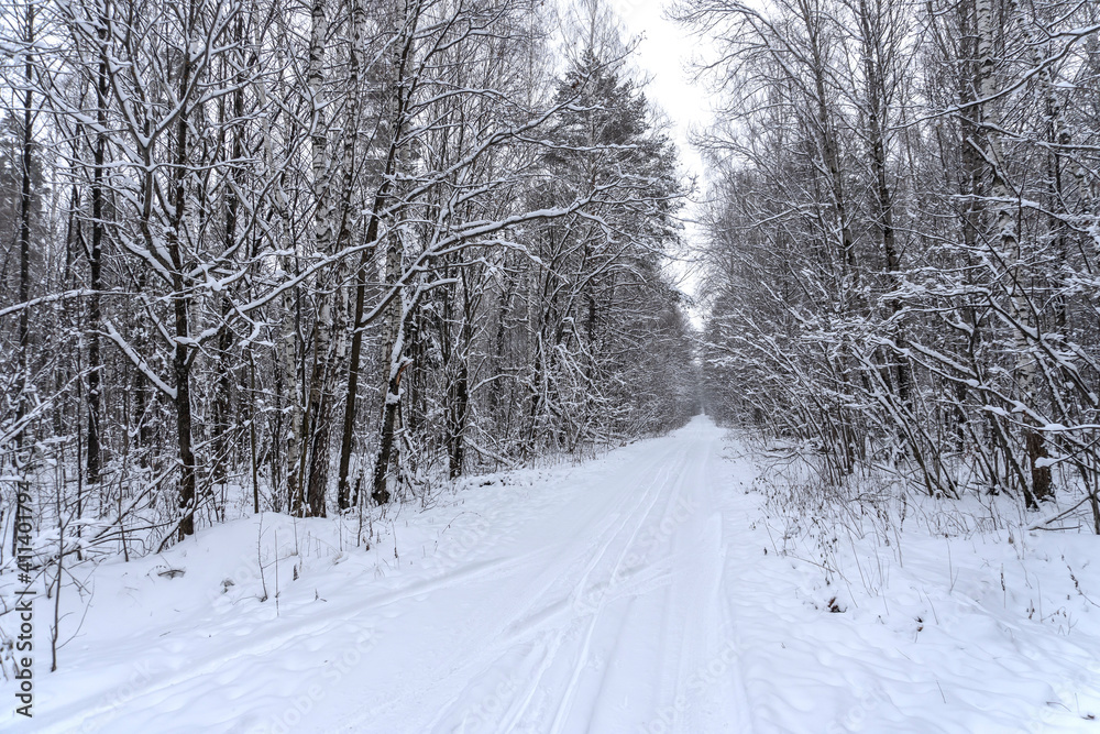 Obraz premium Stock Foto Winter in the forest, snow on trees, handsome christmas background