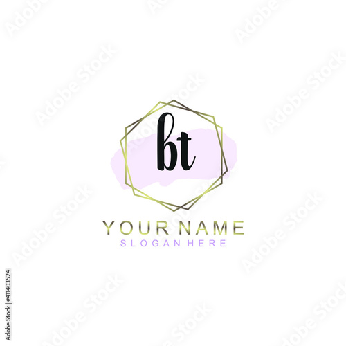 BT Initial handwriting logo template vector