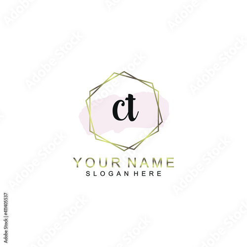 CT Initial handwriting logo template vector