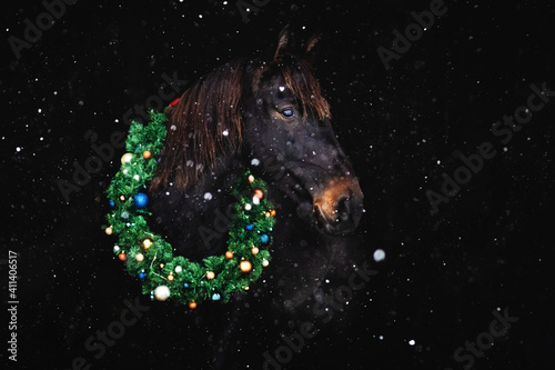 Bay (brown) horse with christmas wreath against black backround in snowfall in winter.