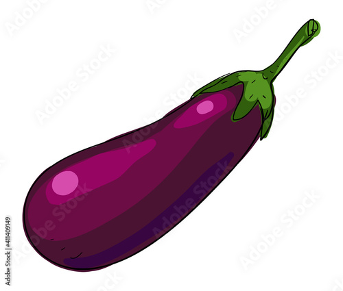 Fresh Eggplant vegetable isolated illustration