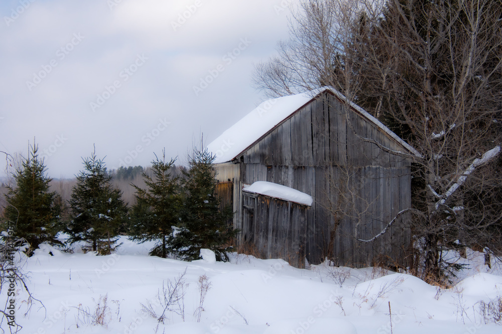Old barn in a field during Quebec winter in Canada