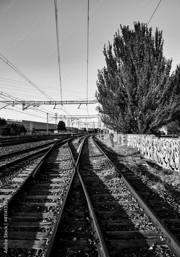 Vías de tren vacías y abandonadas. 