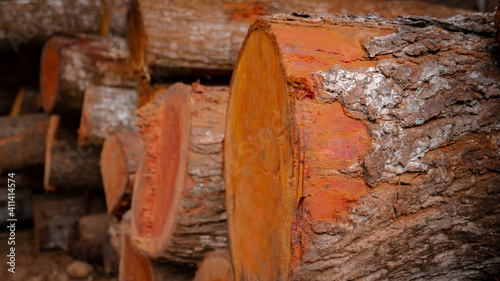 close up of pile wood