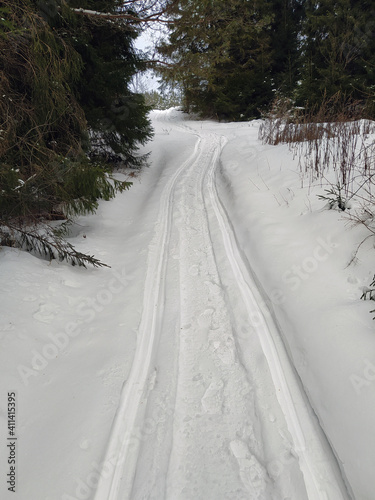 Traces in snow from passing snowmobile and man passing behind it among green fir trees on winter day
