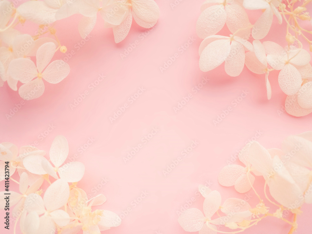 Flowers composition. Frame made of white flowers hydrangea on pink background. Valentines day, mothers day and womens day concept. Flat lay, top view.