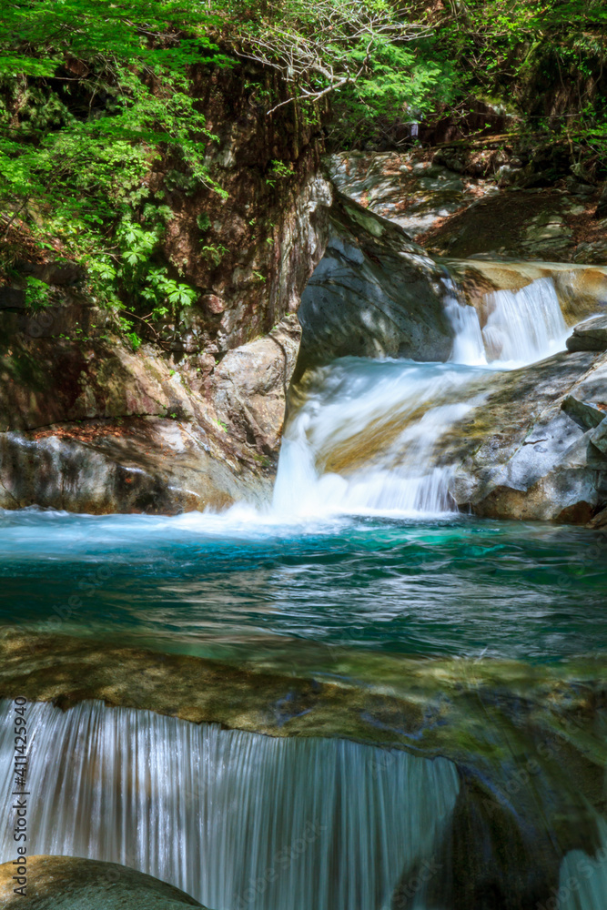 Fototapeta premium 西沢渓谷の美しくダイナミックなグリーン色の滝