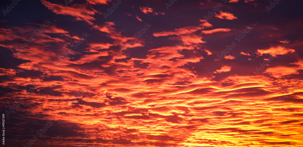 Fototapeta premium fire in the fire