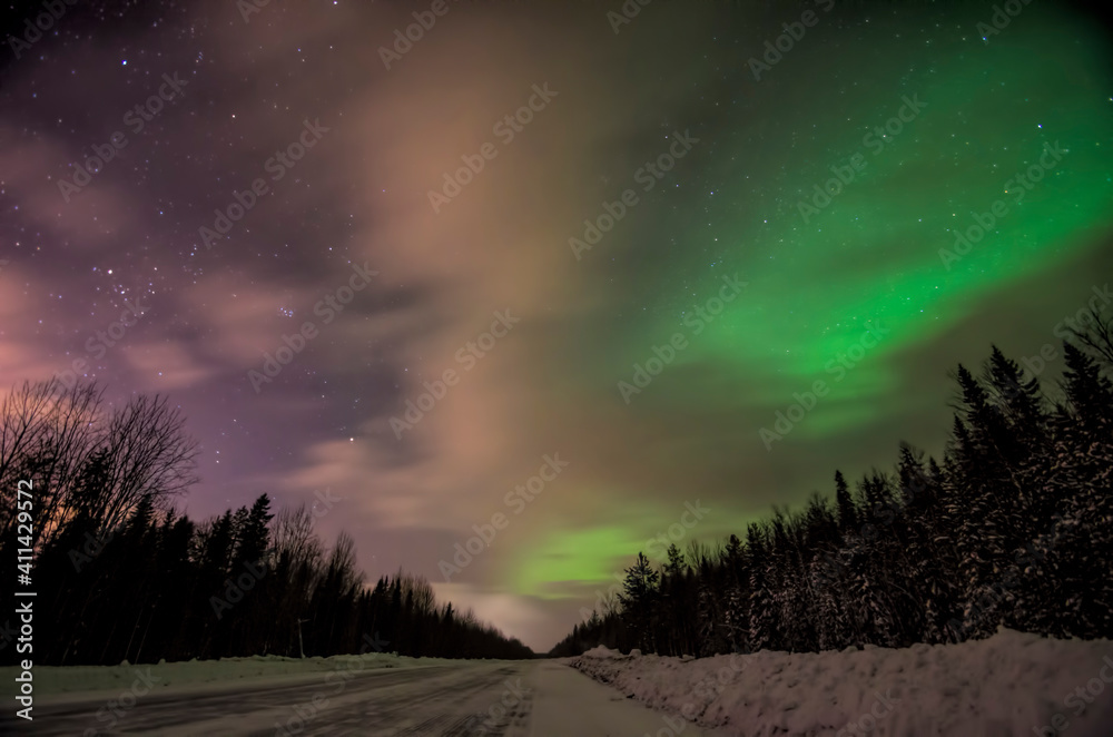 Northern lights over the forest. Polar light 