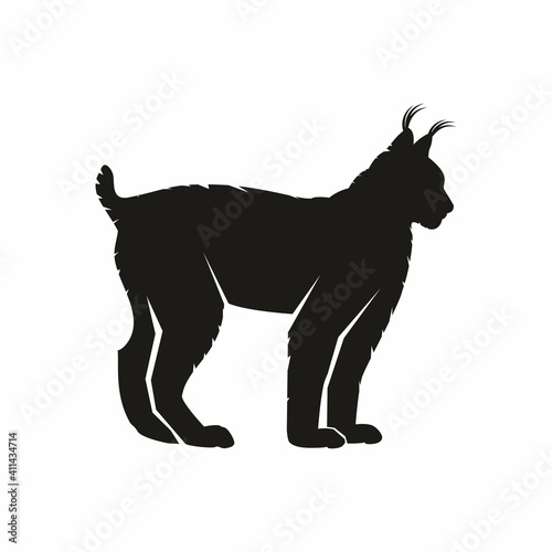 Silhouette of a lynx
