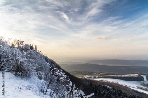 winter landscape with snow