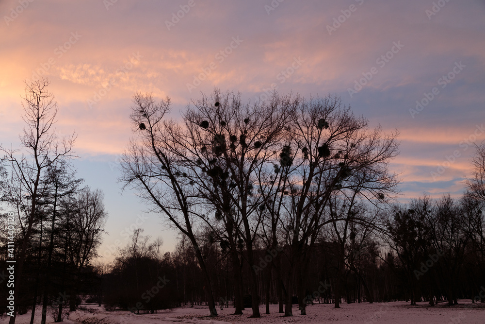 Beautiful landscape in the rays of the sunset. Beautiful landscape in the rays of the sunset.