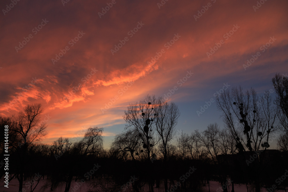 Obraz premium Beautiful landscape in the rays of the sunset.