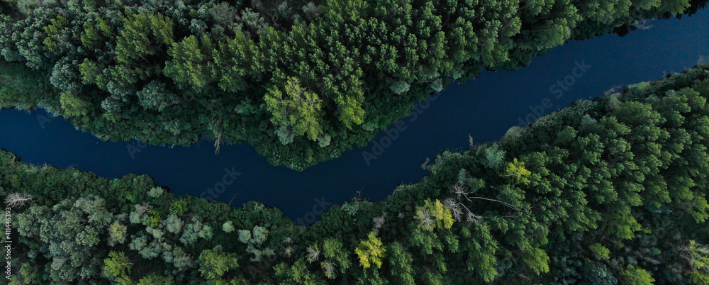 Banner top view of green dense forest with tall trees. The river flows between the trees. Ukraine Banner top view of green dense forest with tall trees. The river flows between the trees. Ukraine