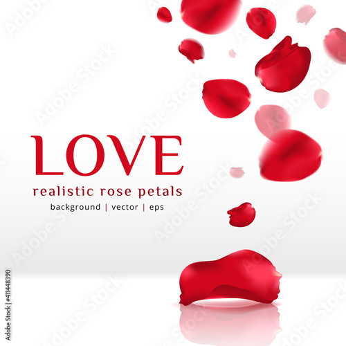 Falling red rose petals isolated on white background. Vector illustration with beauty roses petal