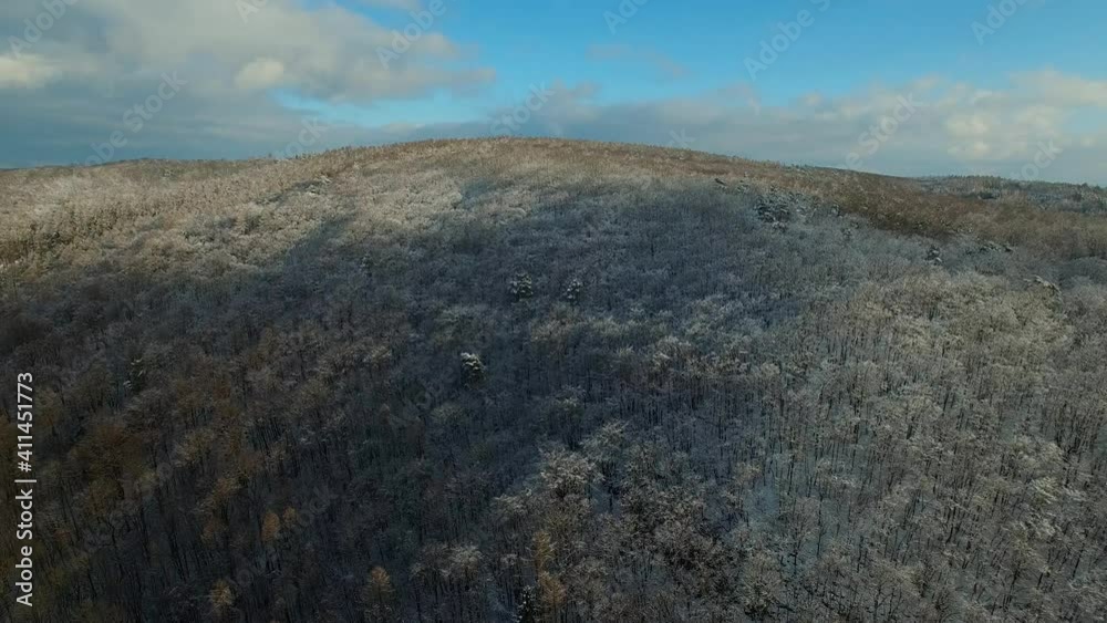 Aerial view of frozen tree tops. Winter landscape