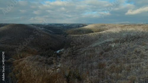 Aerial view of frozen forests