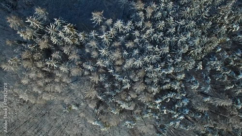 Aerial view of frozen tree tops. Winter landscape