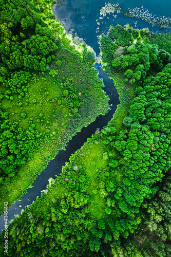 Green algae on the lake and river, aerial view