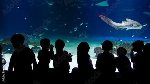 silhouette of people watching fishes in aquarium tank