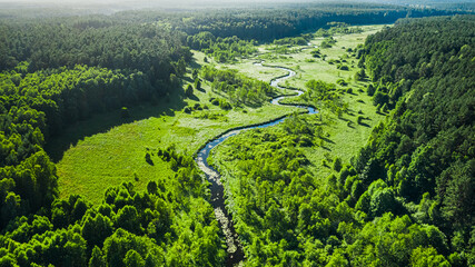 Keuken achterwand Bosrivier Kronkelend riviertje door groen moeras  © shaiith