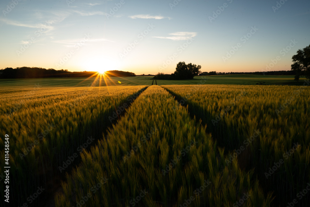 Scenic View Of Agricultural Field Against Sky During Sunset