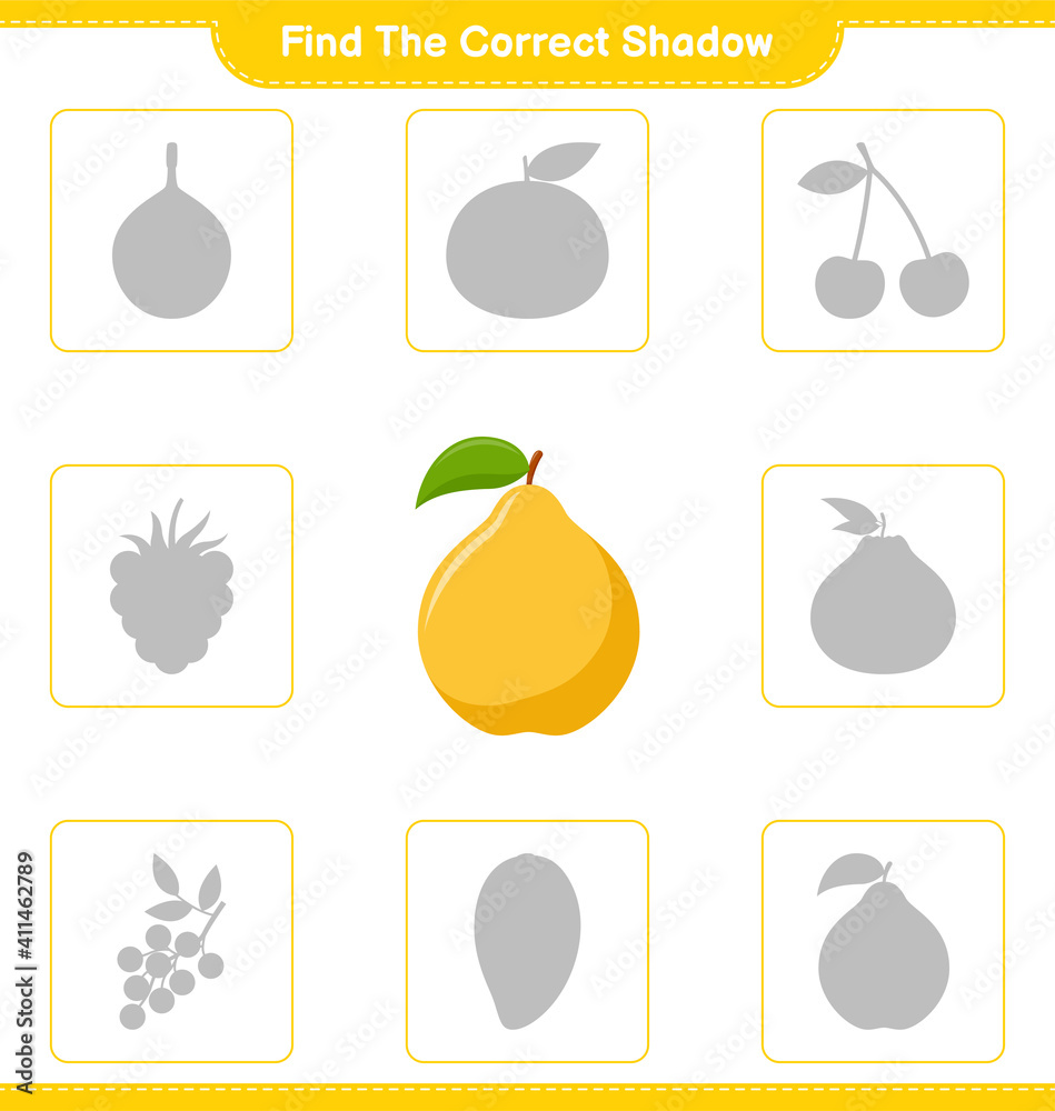 Find the correct shadow. Find and match the correct shadow of Quince. Educational children game, printable worksheet, vector illustration Find the correct shadow. Find and match the correct shadow of Quince. Educational children game, printable worksheet, vector illustration