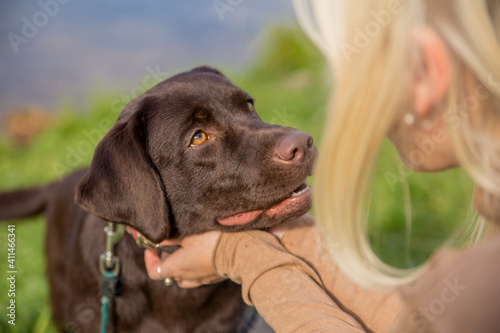 Canvas Print dog breed Labrador retriever looks into the eyes of his blonde mistress on the g