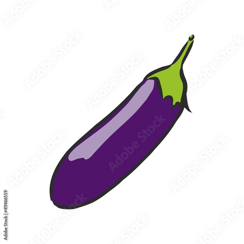 Fresh eggplant whole sliced vector illustration. eggplant, vector sketch illustration