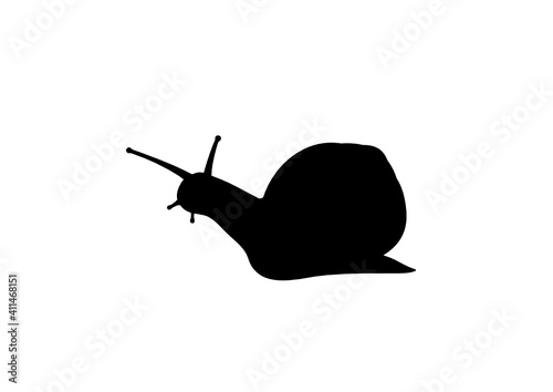 Silhouette Lumaca