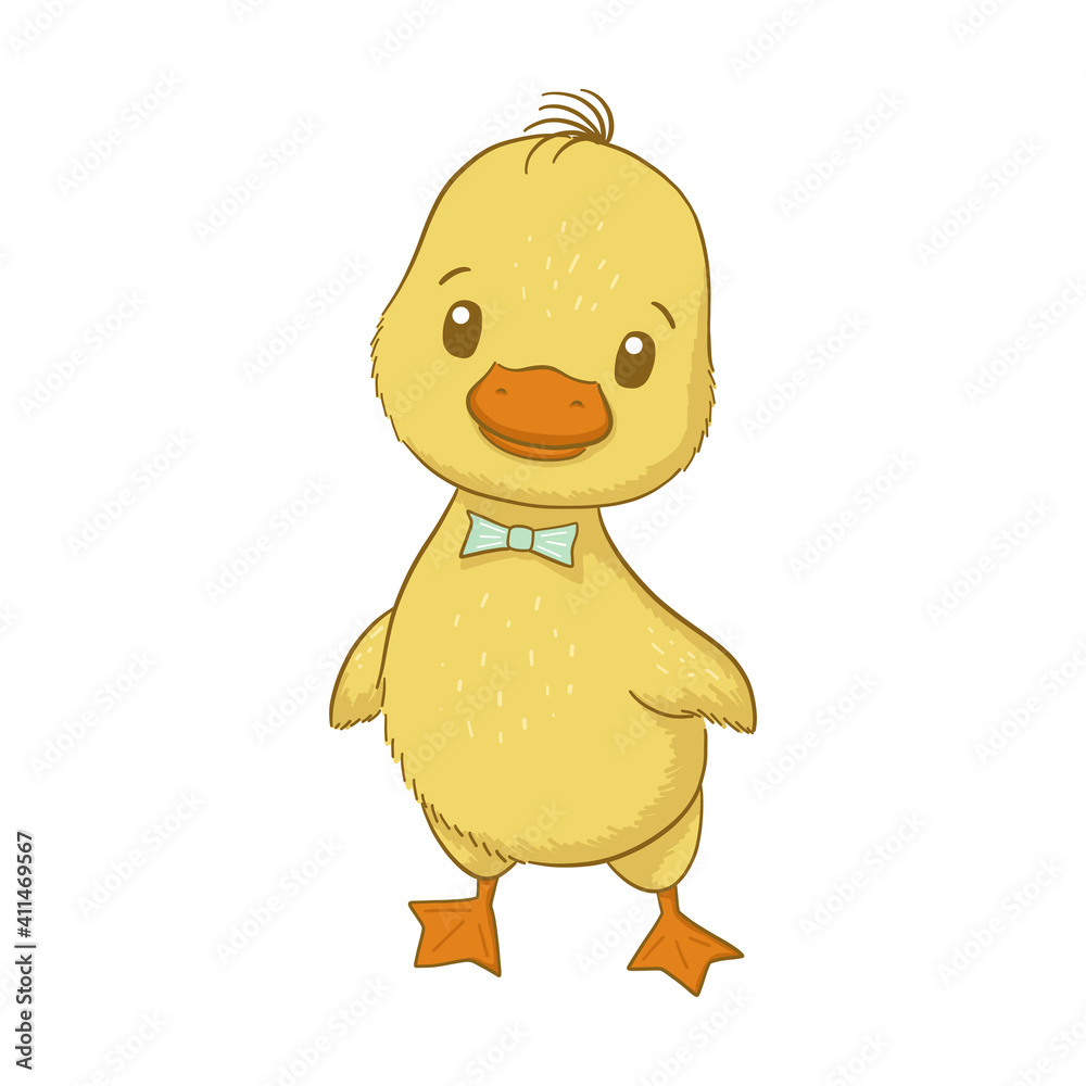 Cute baby duck isolated on white background Cute baby duck isolated on white background