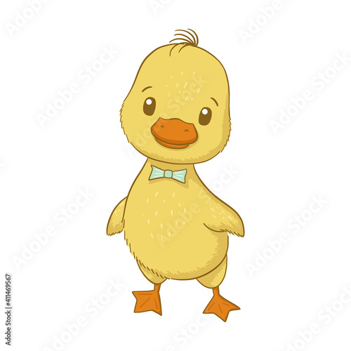 Cute baby duck isolated on white background