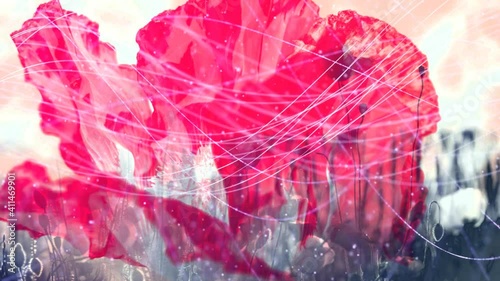 flowers poppy a stream of luminous particles, a cycle of a stream of luminous particles. light effects moving and flexible lines in abstract style. profit energy meditation