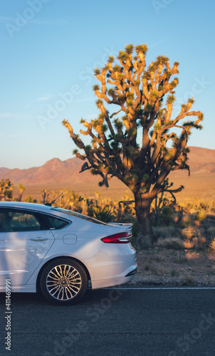 Road trip through Joshua Tree National Park, California.