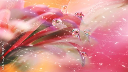 drops on flowers a stream of luminous particles, a cycle of a stream of luminous particles. light effects moving and flexible lines in abstract style. profit energy meditation