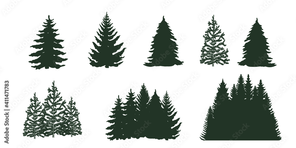 Collection of trees isolated on white. Vector illustration.