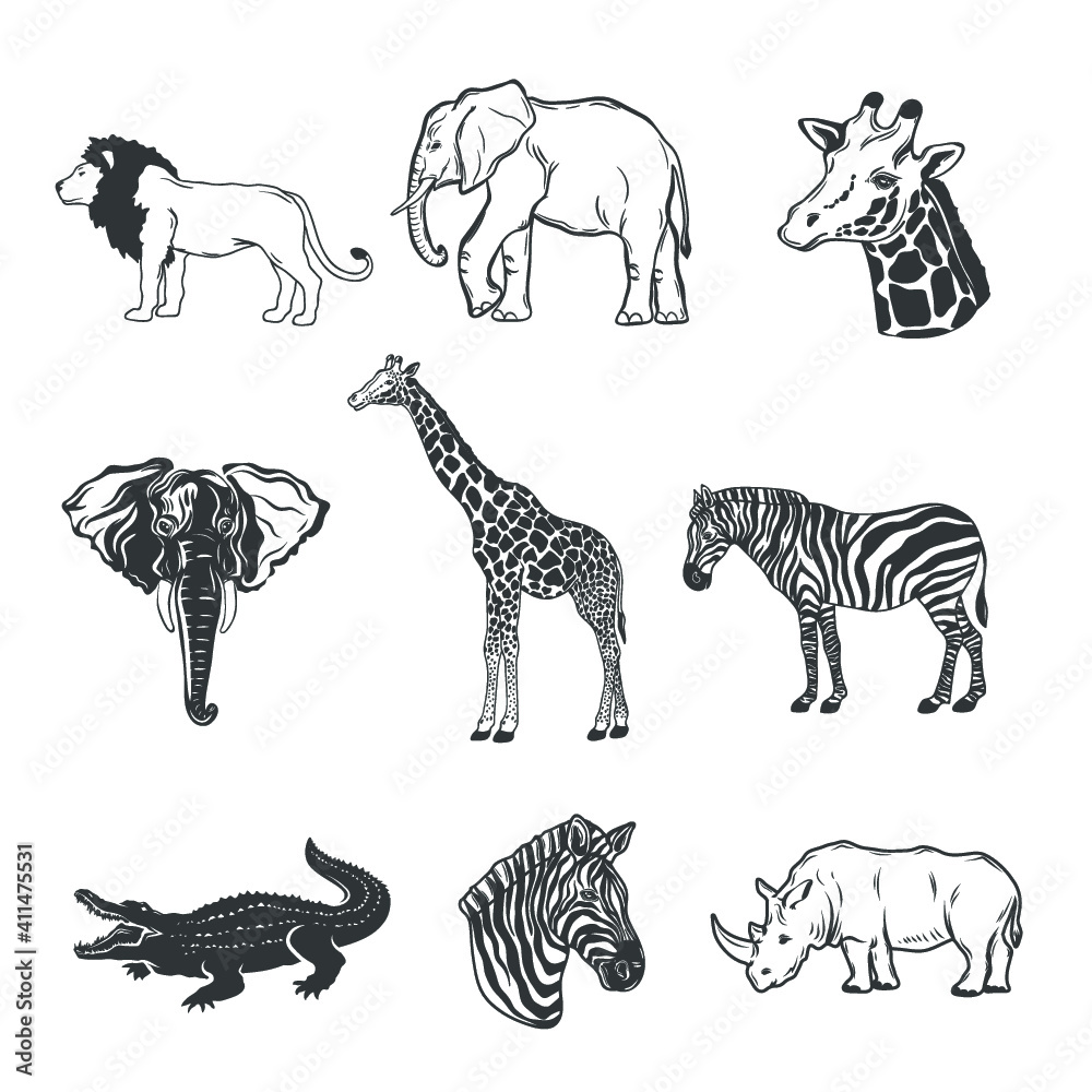 Collection of african animals isolated on white. Vector illustration.