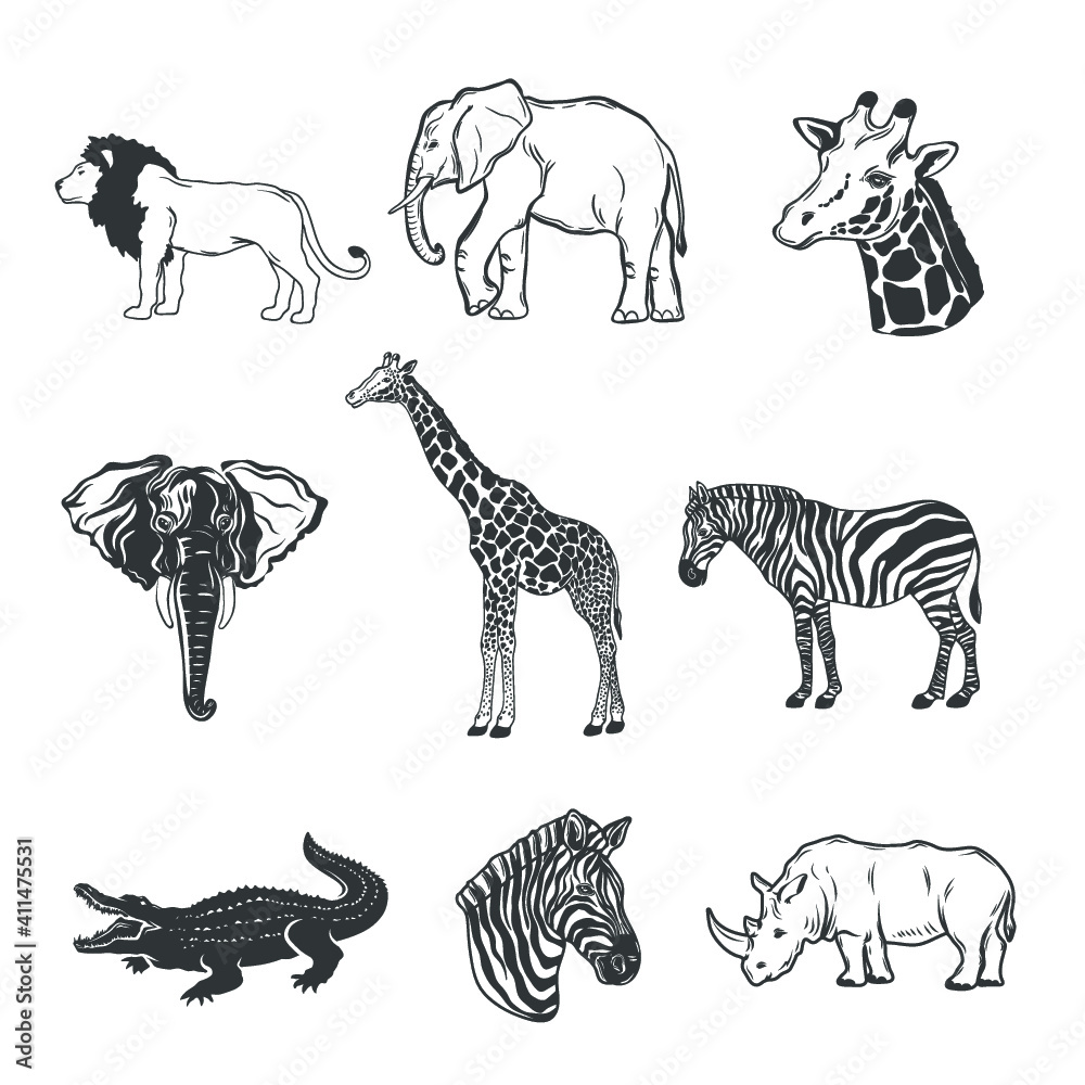 Collection of african animals isolated on white. Vector illustration. Collection of african animals isolated on white. Vector illustration.