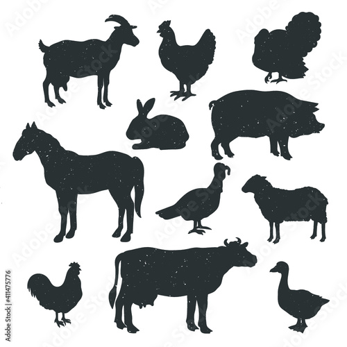 Collection of farm animals isolated on white. Vector illustration.