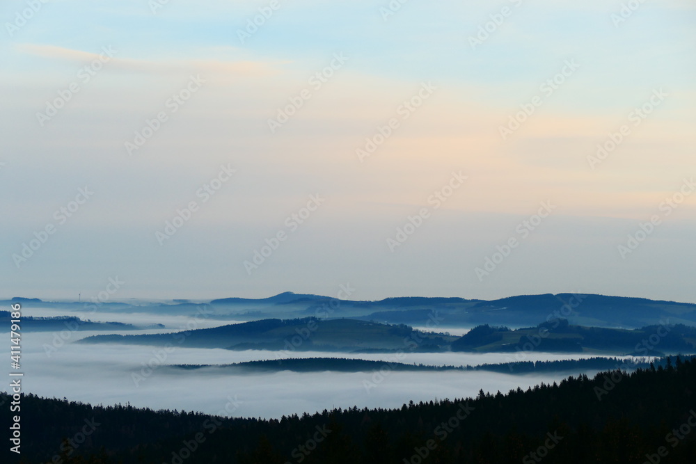 in Nebel eingebeetete Landschaft