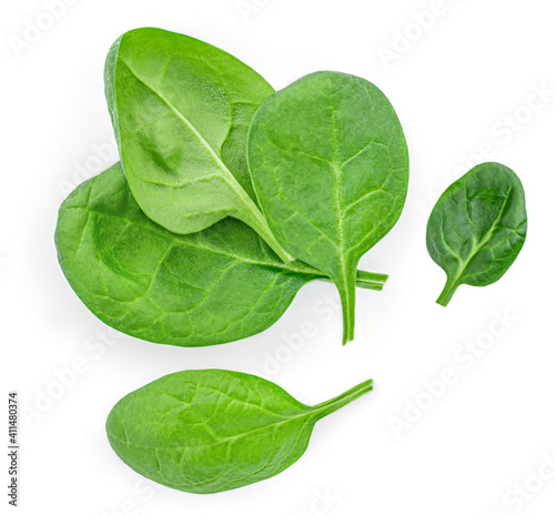 Spinach leaves isolated on white background. Various Spinach leaf Macro. Top view. Flat lay..