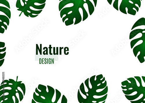 Trendy natural design of bright monstera leaves, place for text, white background. Botanical vector illustrations for advertising.