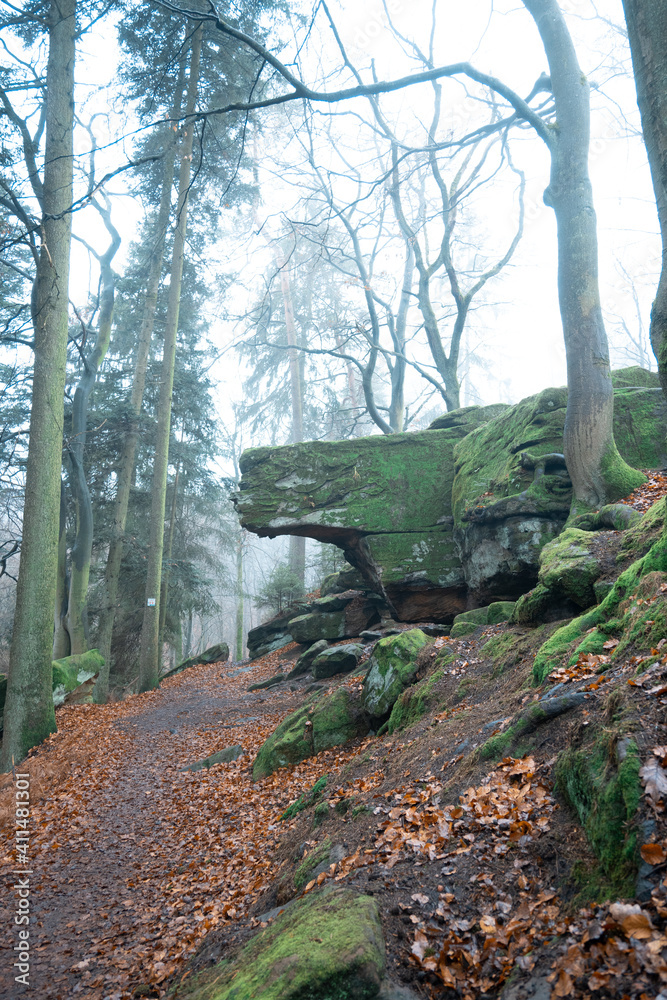 Obraz premium Wintertime