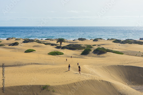 Maspalomas dunes  Gran Canaria  Canary Islands  Spain